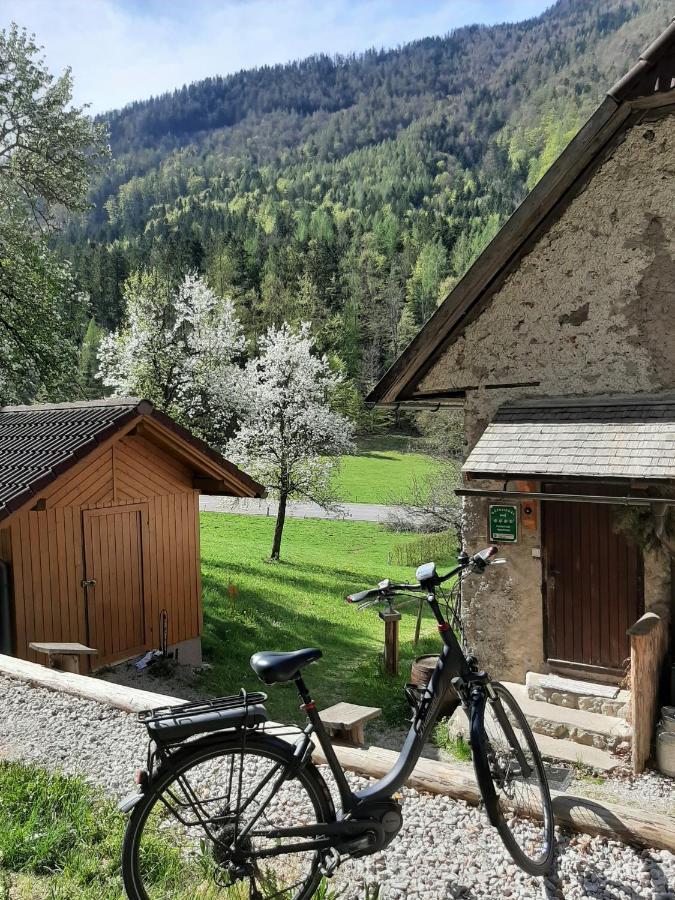 Ferienhaus Hirschnest Sankt Pankraz Eksteriør billede
