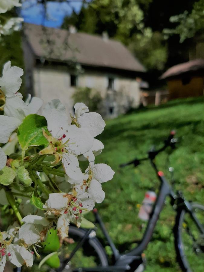 Ferienhaus Hirschnest Sankt Pankraz Eksteriør billede