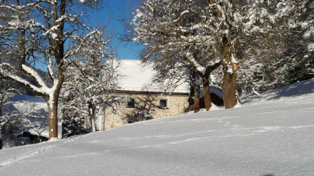Ferienhaus Hirschnest Sankt Pankraz Eksteriør billede
