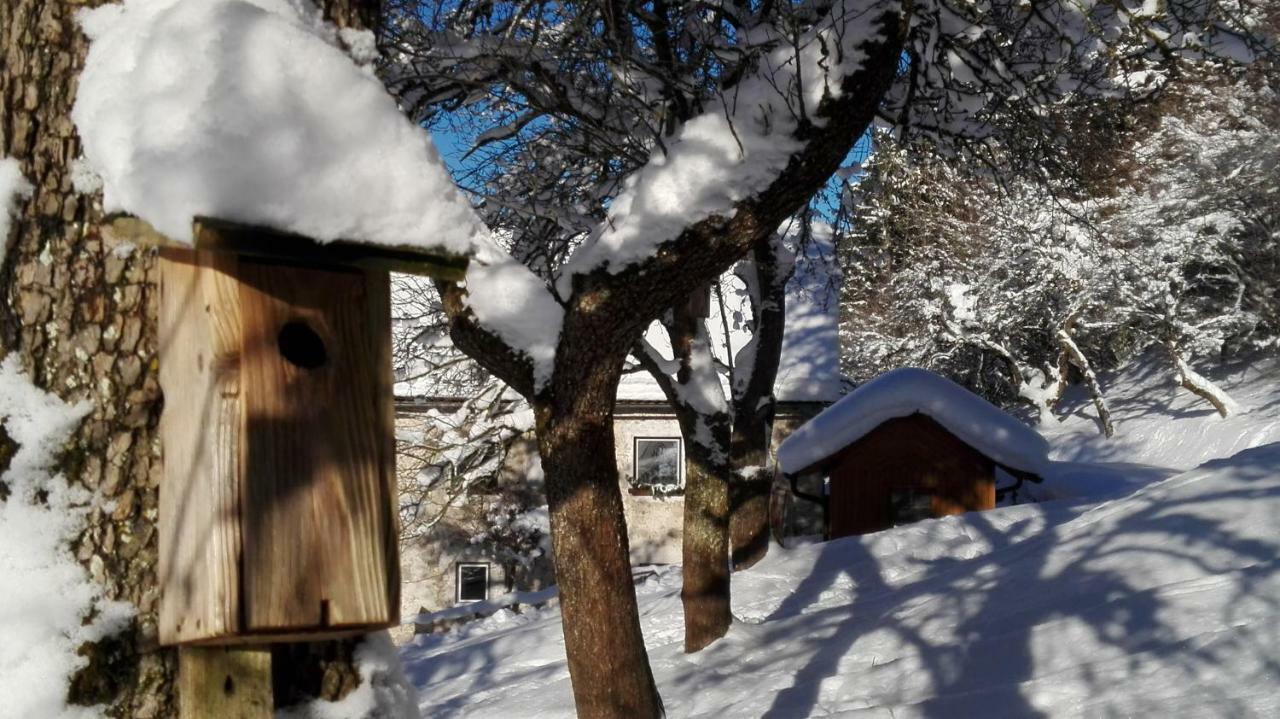 Ferienhaus Hirschnest Sankt Pankraz Eksteriør billede