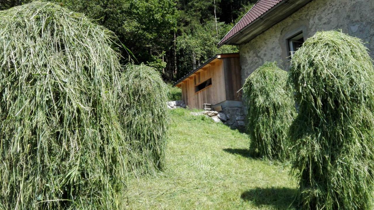 Ferienhaus Hirschnest Sankt Pankraz Eksteriør billede